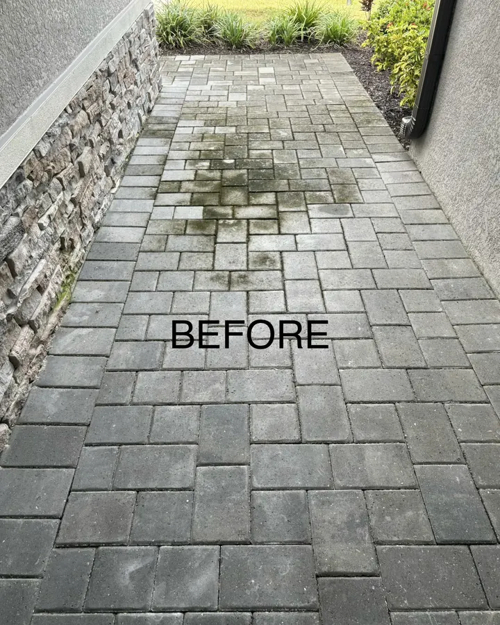 Before: side walkway before cleaning
