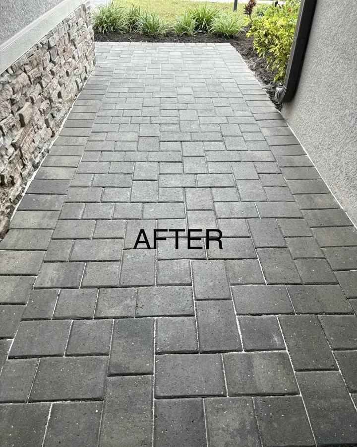 After: side walkway after cleaning