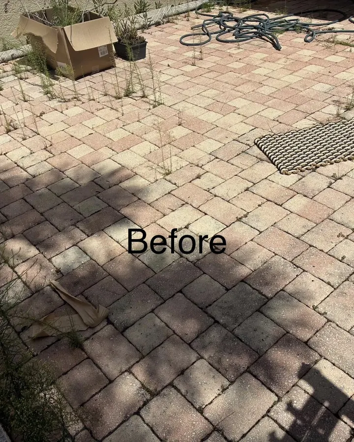 Before: front courtyard before cleaning